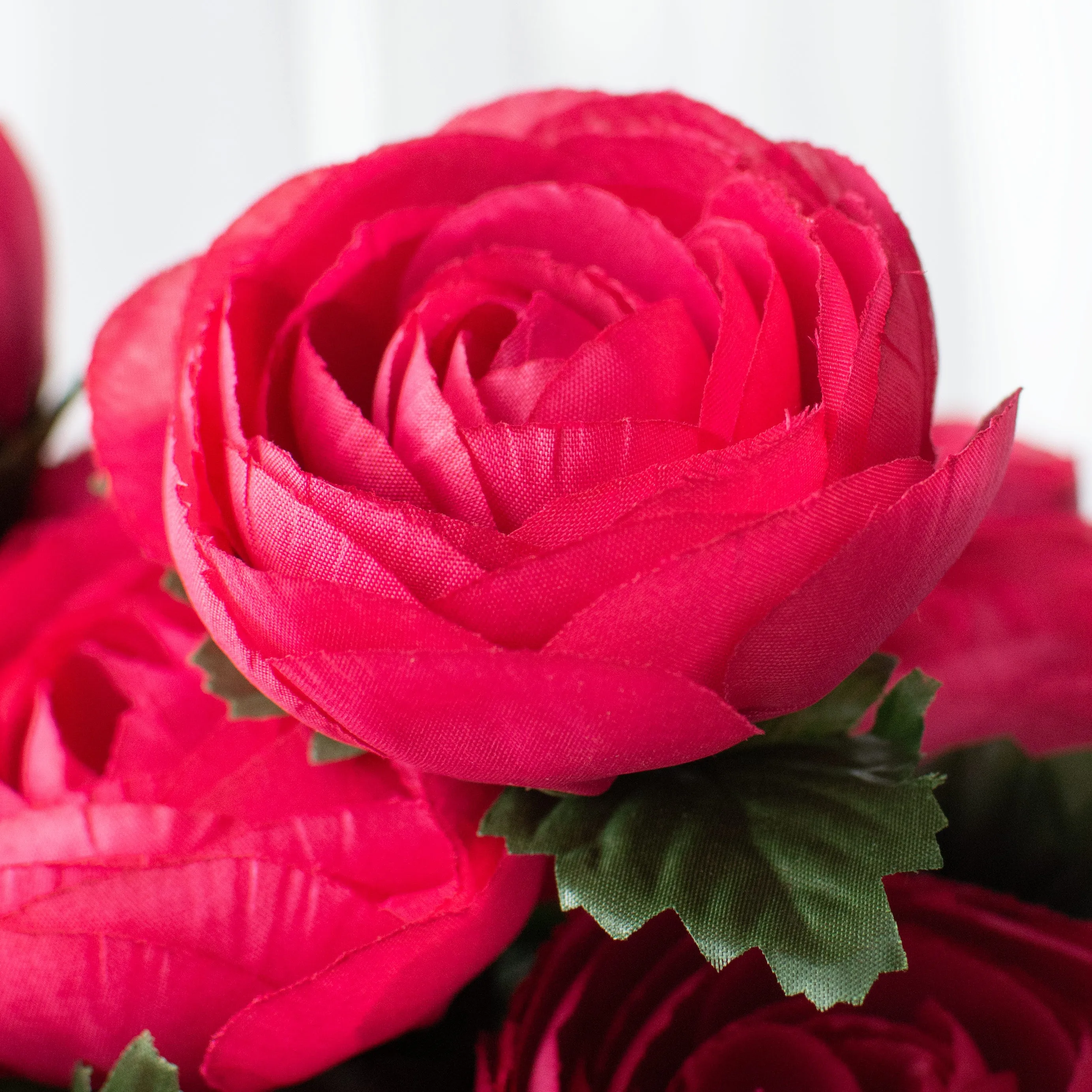 20" Ranunculus Bush: Fuchsia Pink (12 Stem)