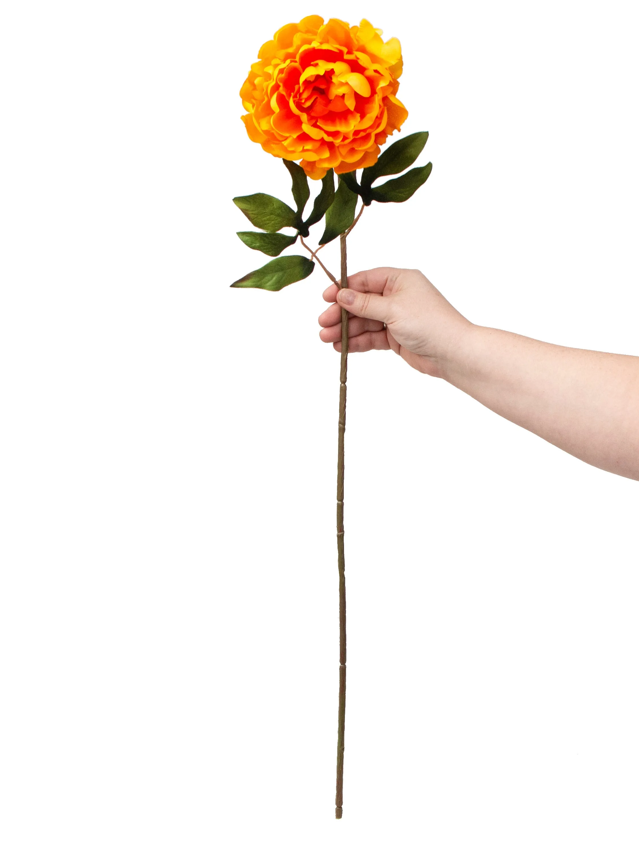 30" Peony Stem: Bright Orange