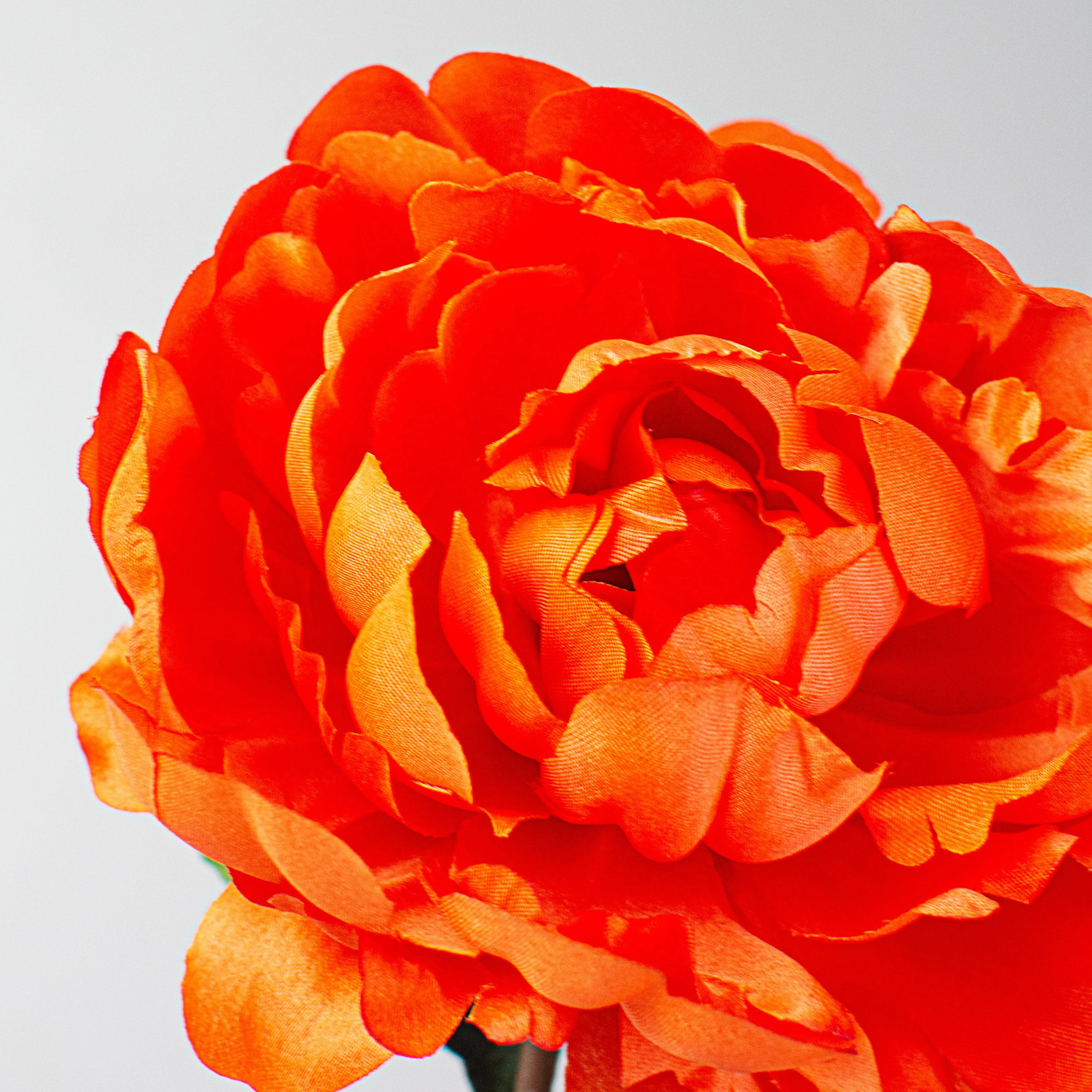 30" Peony Stem: Bright Orange