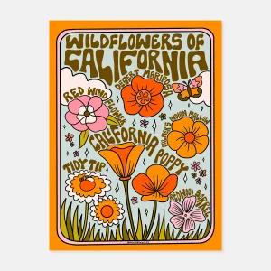 California Wildflowers Print by Doodle by Meg