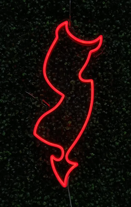 Custom "Neon" LED Signs