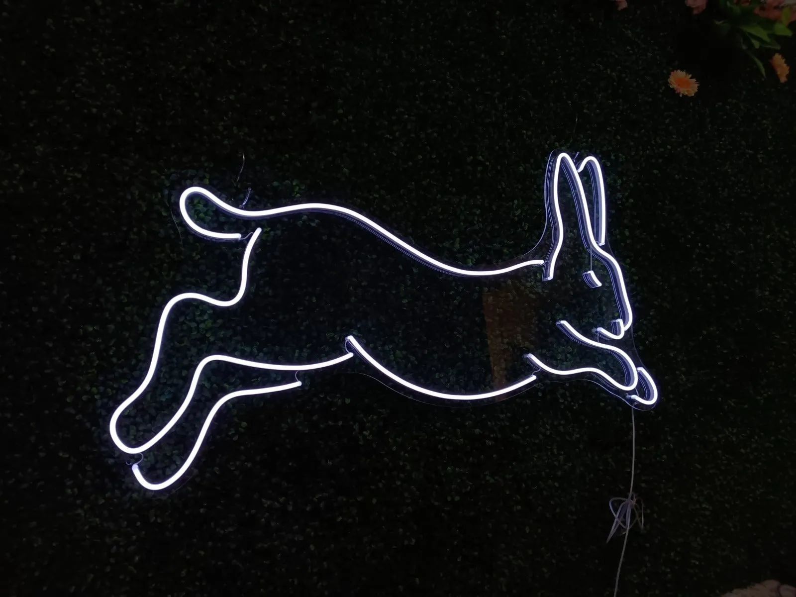 Custom "Neon" LED Signs
