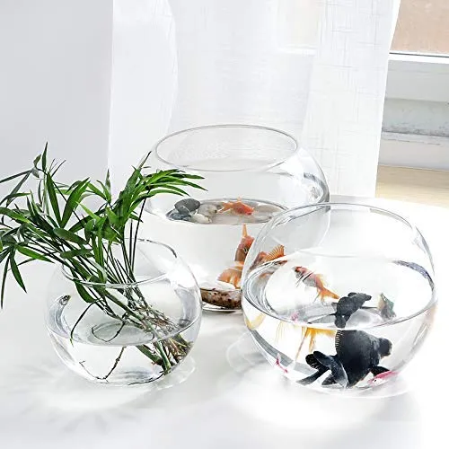 Decent Glass Terrarium Glass Bubble Bowl, Fish Bowl, Rose Bowl - Glass Round Vase, Events, Decorating, Home Decor, or Office Decor (8inch)