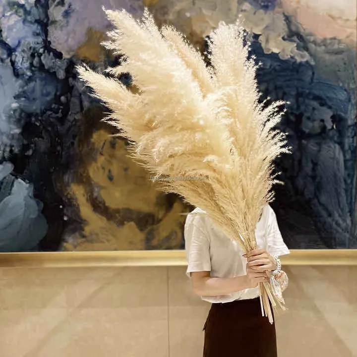Decoration Dried Fluffy Tall Pampas Grass Flower الديكور المجفف رقيق طويل القامة بامباس زهرة العشب