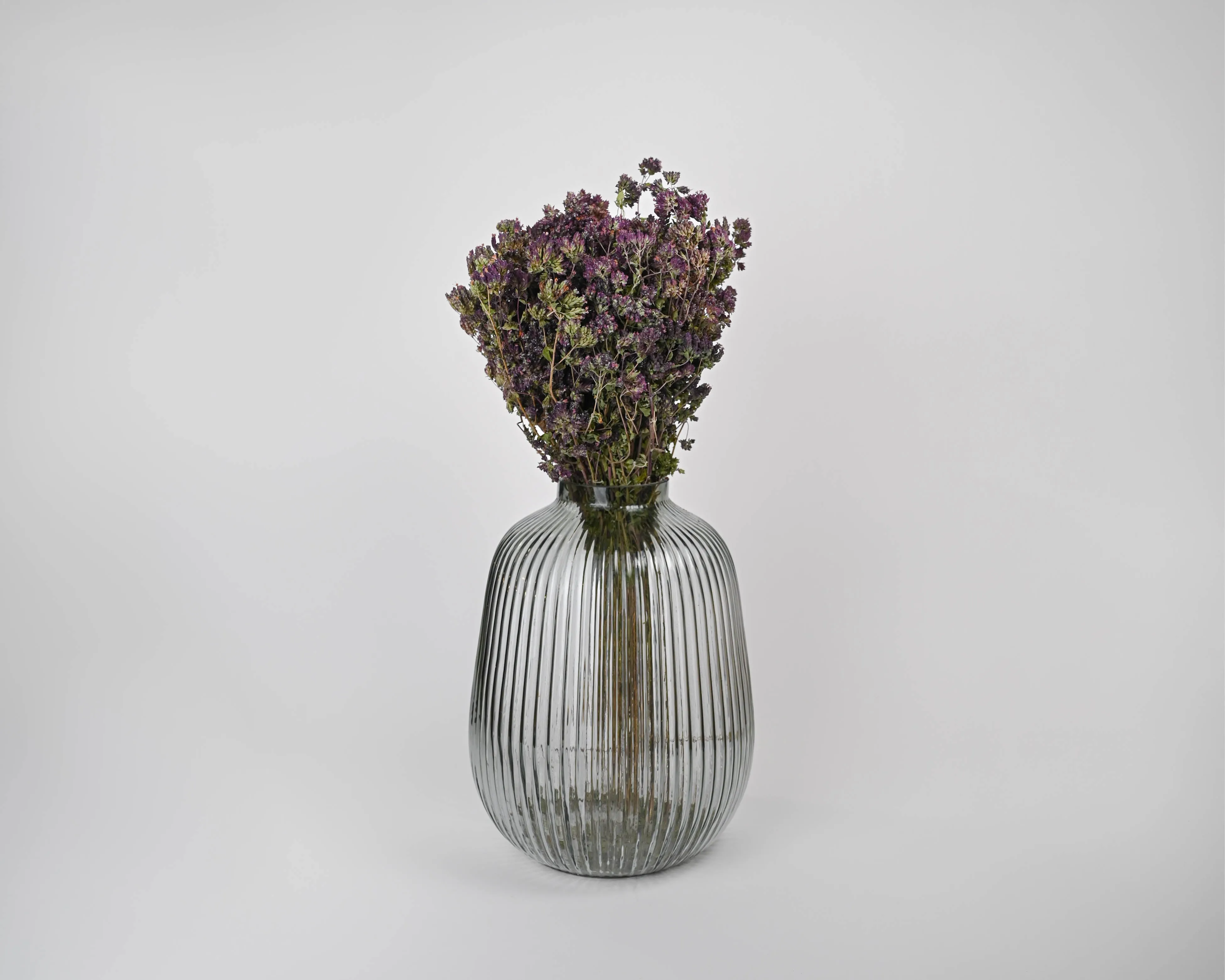 Dried Oregano Flowers Bunch - Santa Cruz