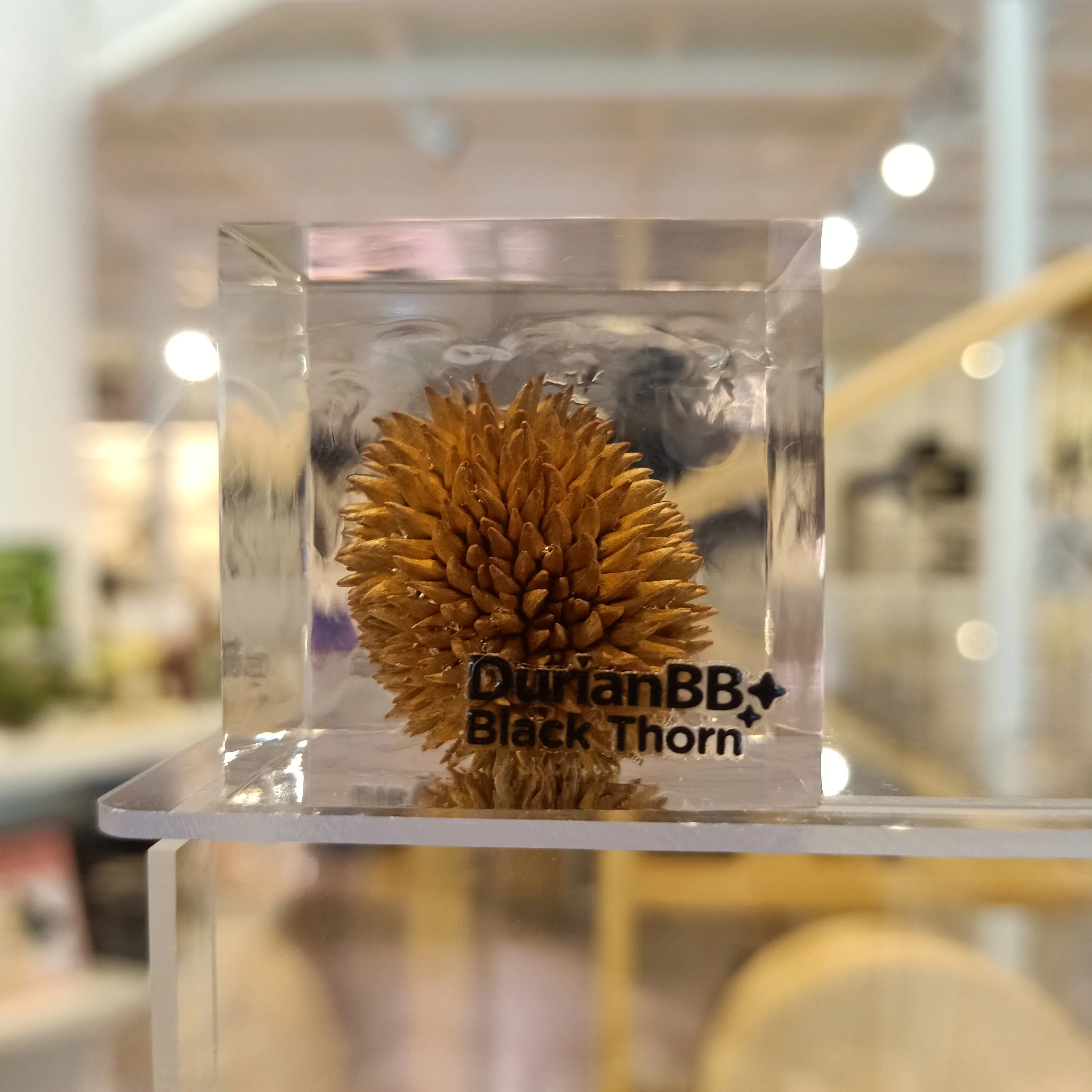 DurianBB Forever Cube