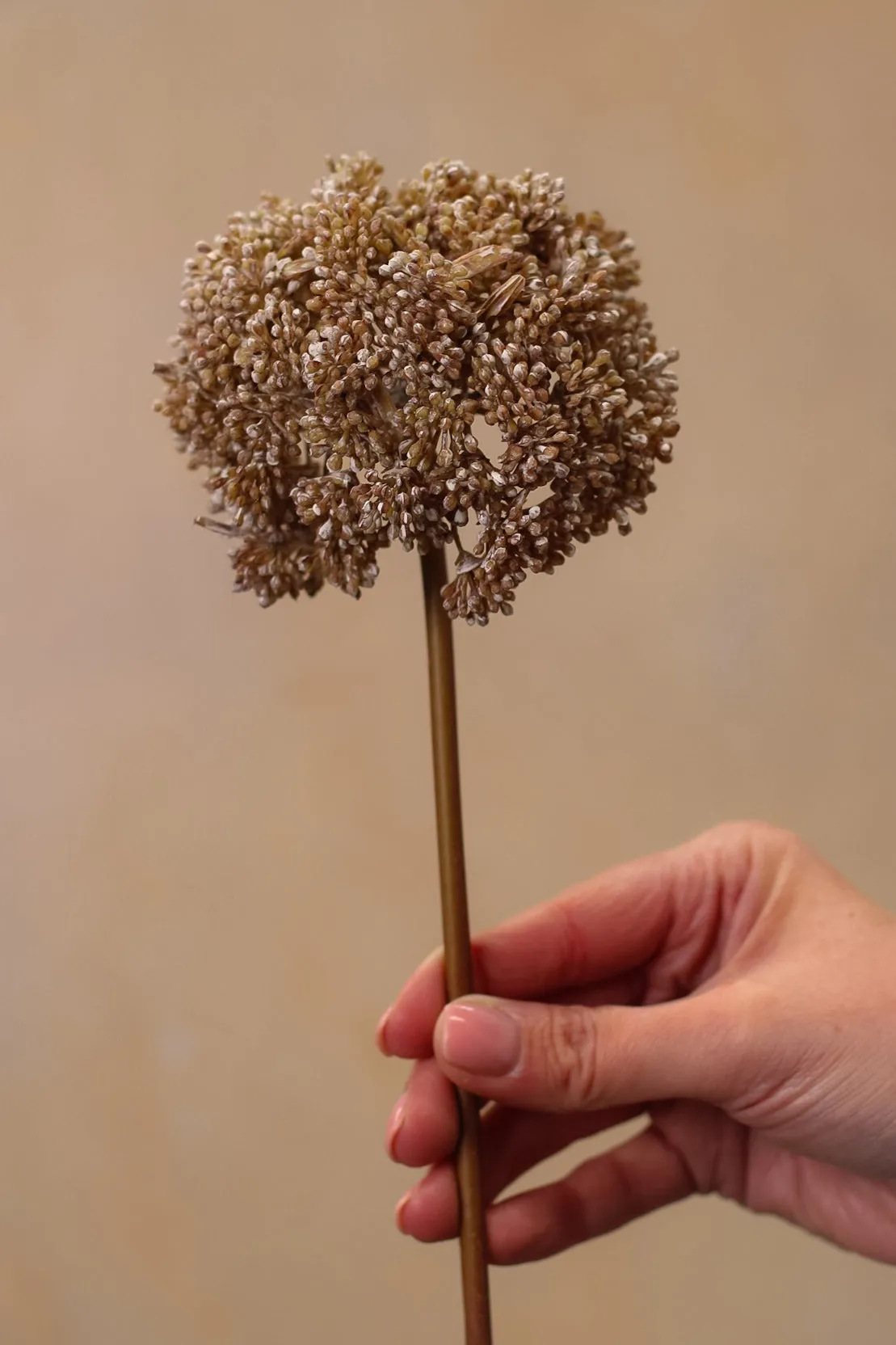 Faux Frosted Sedum Cloud Stem