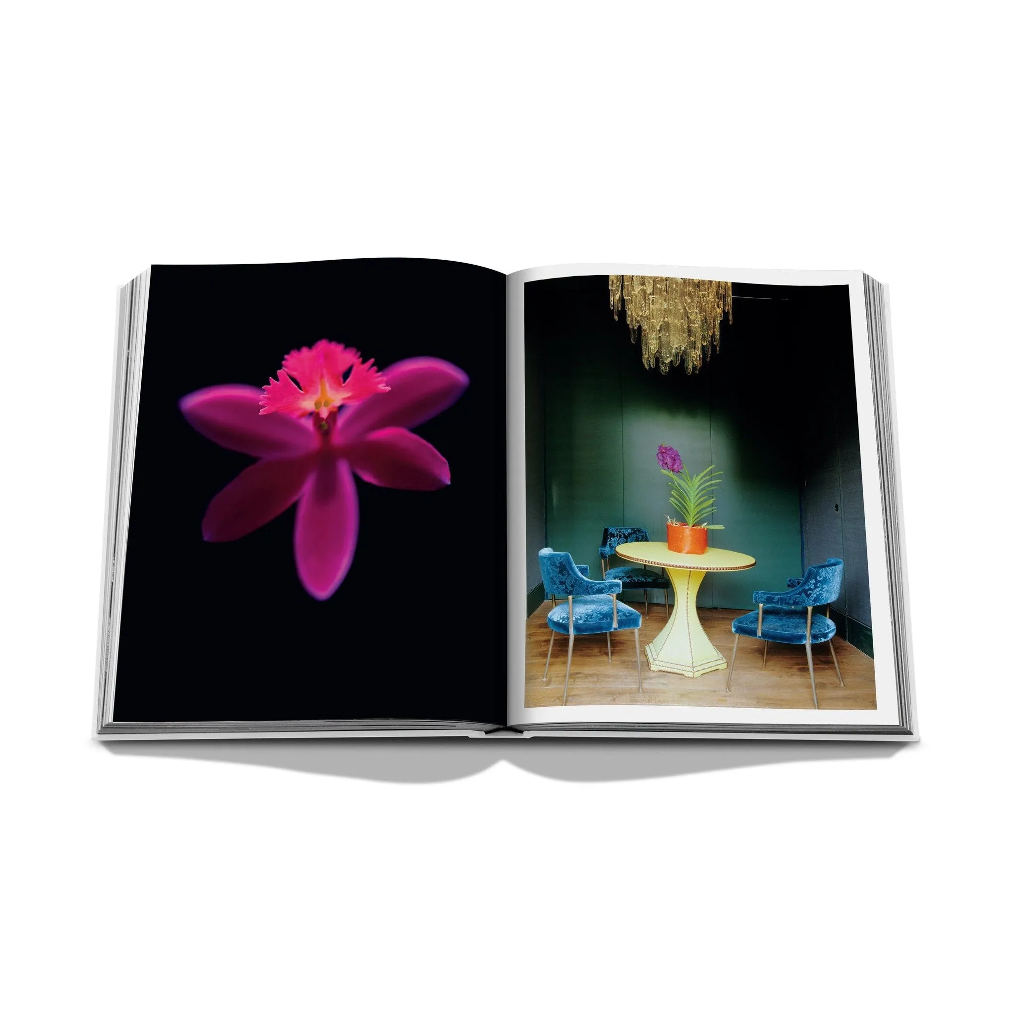 Flowers: Art & Bouquets