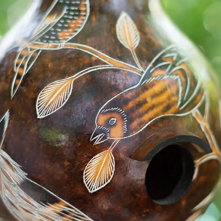 Gourd Birdhouses - Birds of North America