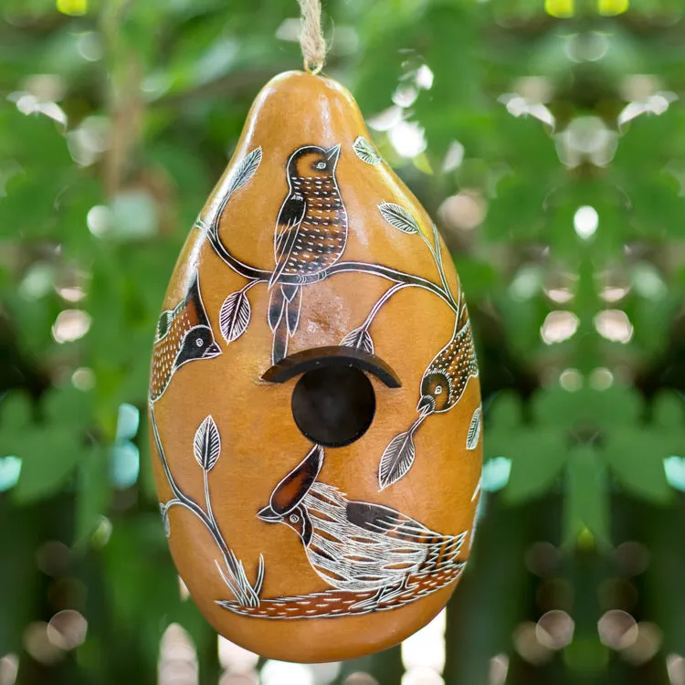 Gourd Birdhouses - Birds of North America