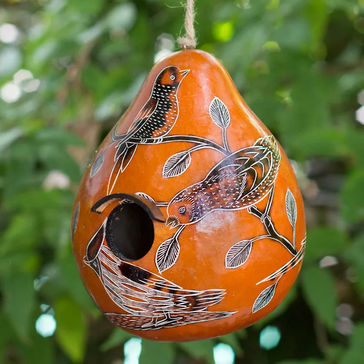 Gourd Birdhouses - Birds of North America