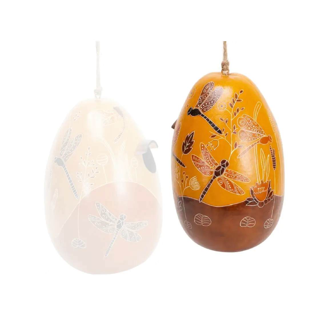 Gourd Birdhouses - Dragonflies