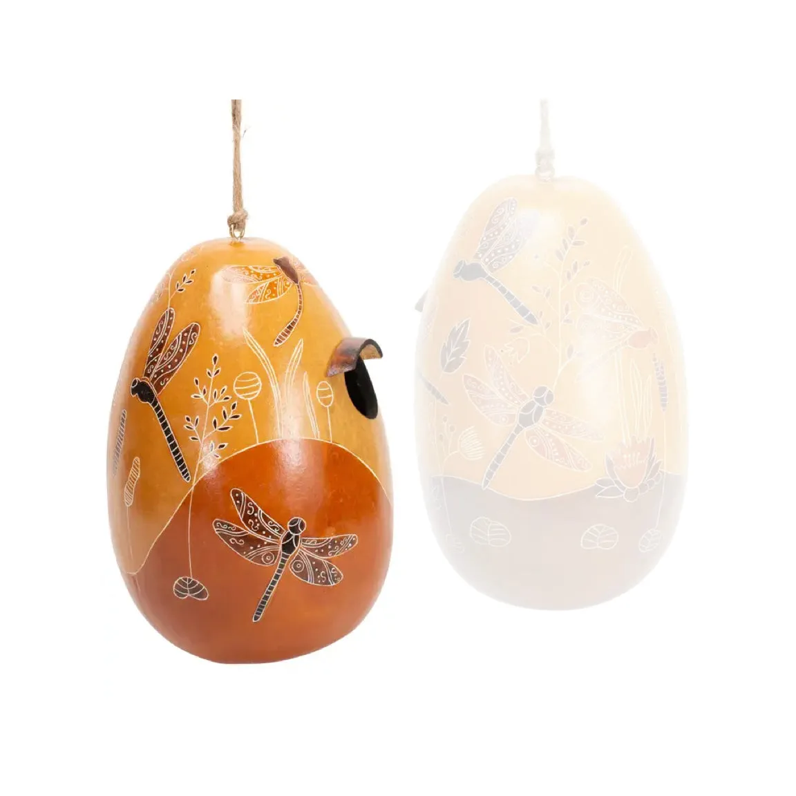 Gourd Birdhouses - Dragonflies