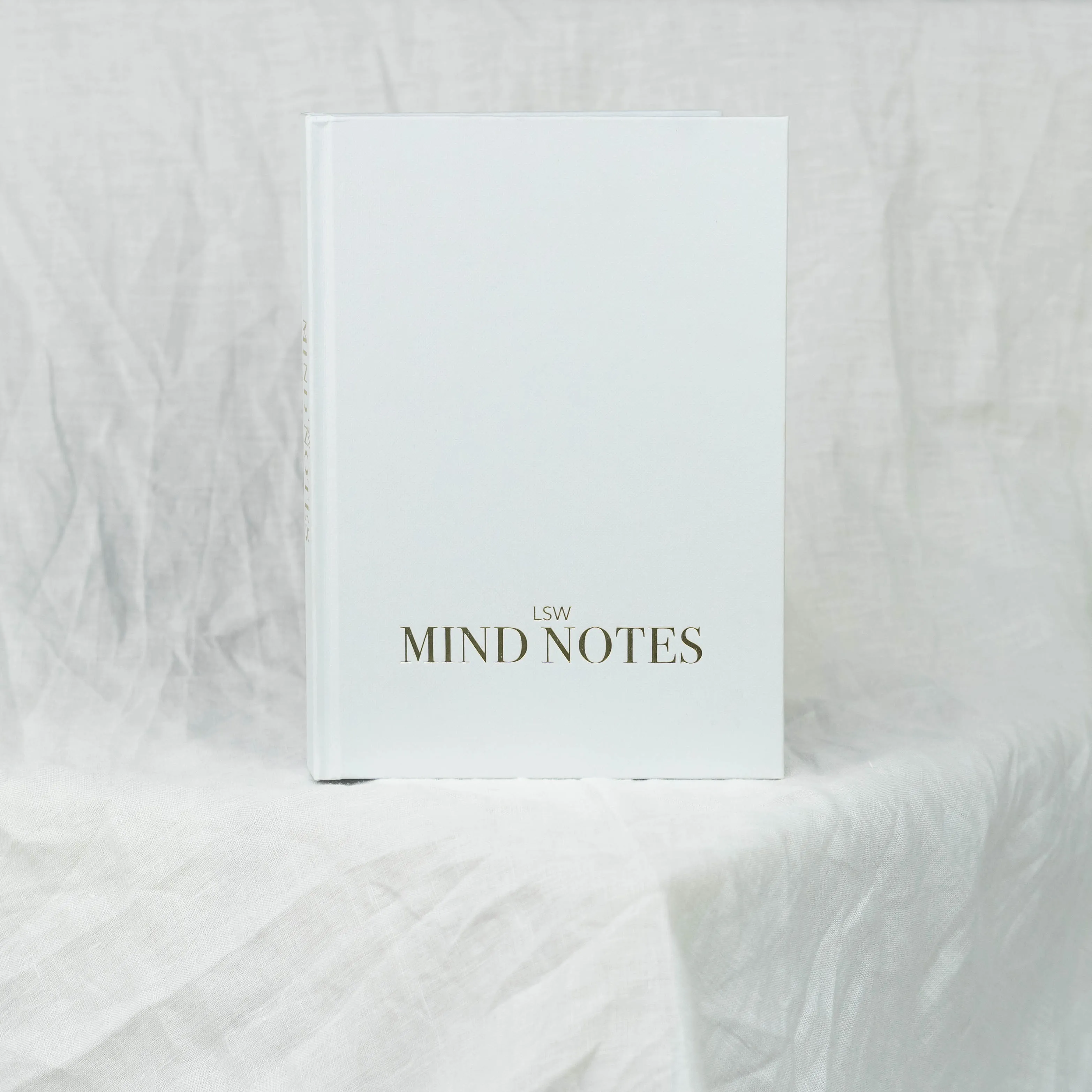 LSW Mind Notes