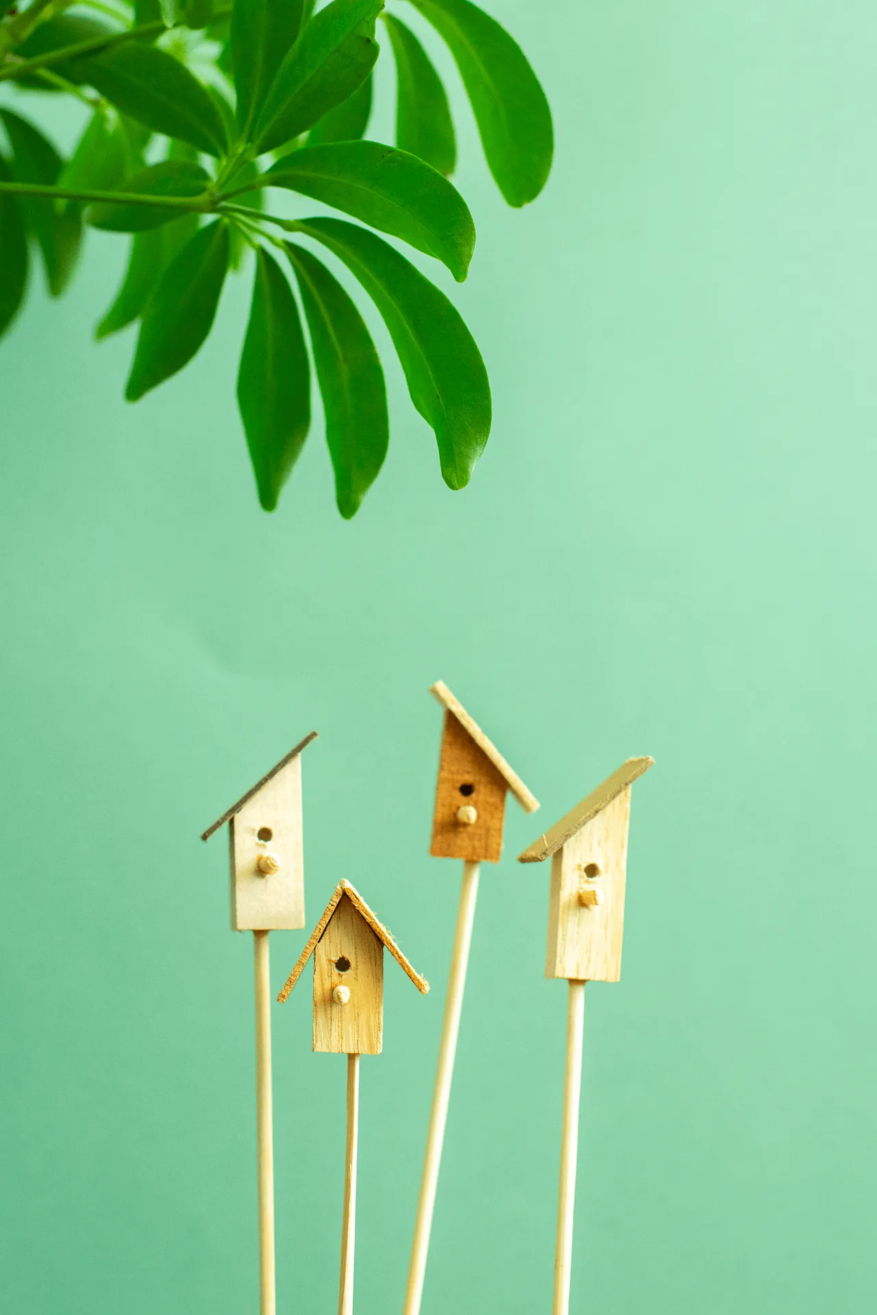 Norseman Workshop :  Terrarium Bird House