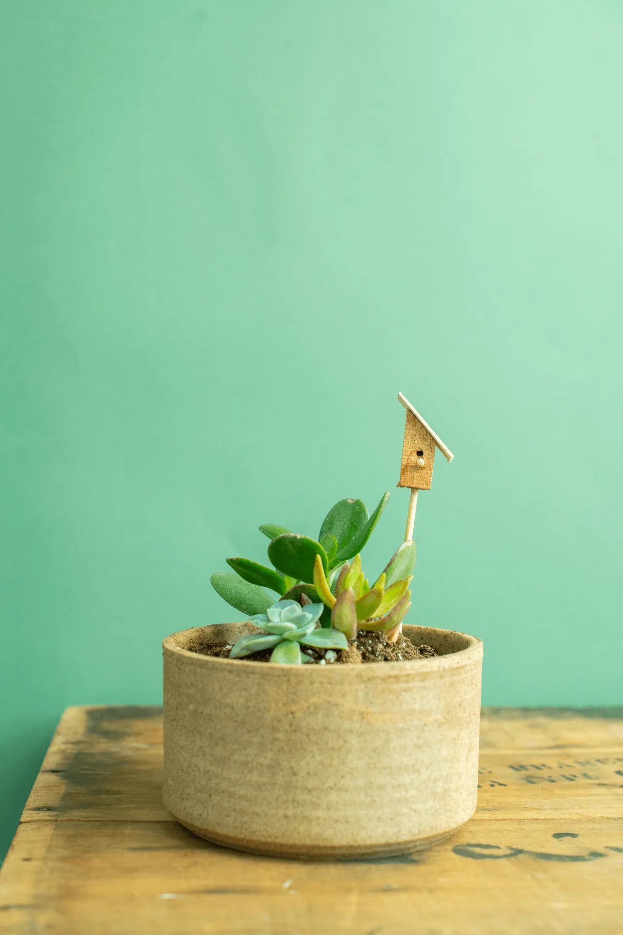 Norseman Workshop :  Terrarium Bird House