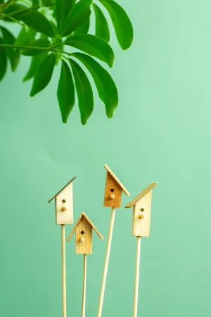 Norseman Workshop :  Terrarium Bird House