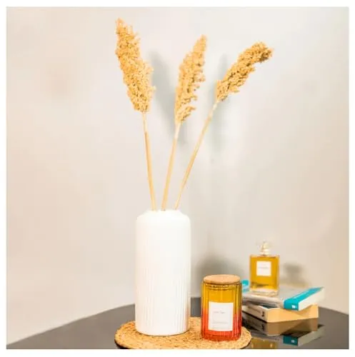 Ribbed White Ceramic Vase for Modern Home Décor