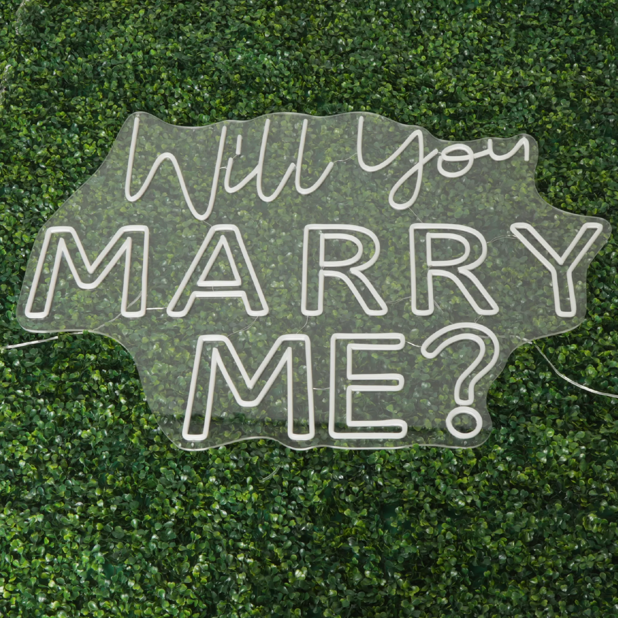 Will You Marry Me Neon Sign